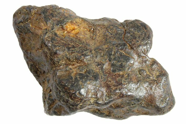 Sericho Pallasite Meteorite ( g) Metal Skeleton #266985